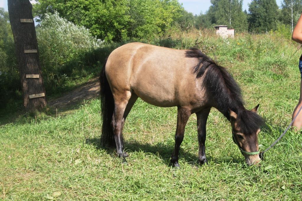 IMG_3358 - копия.JPG