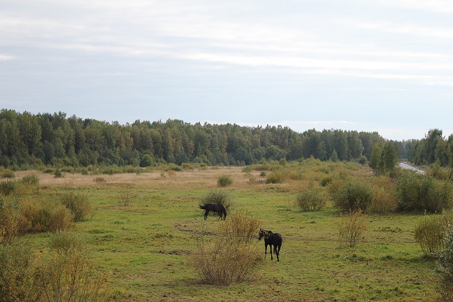 IMG_33861.jpg