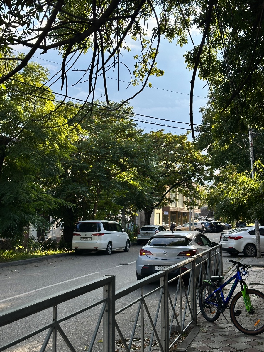 IMG_3418.jpeg