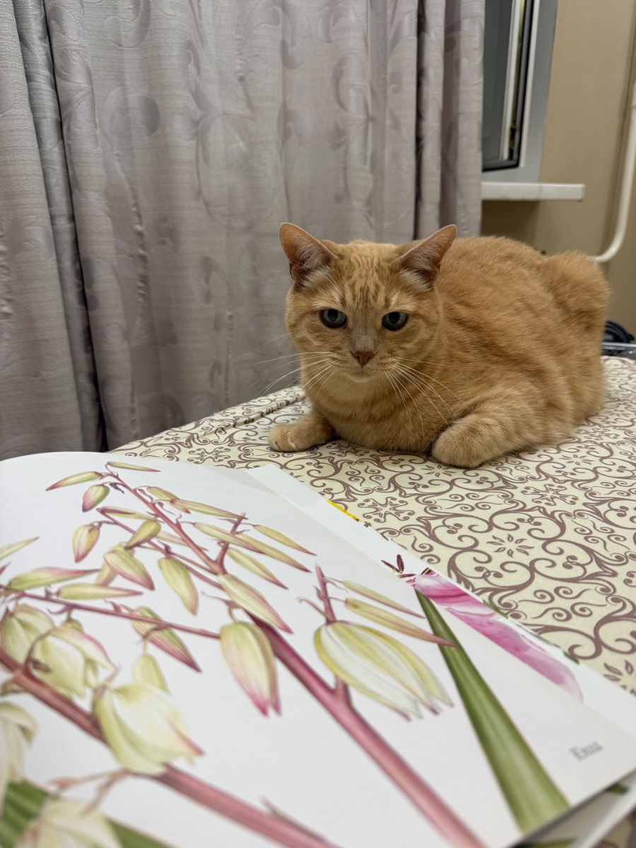 IMG_3430.jpeg