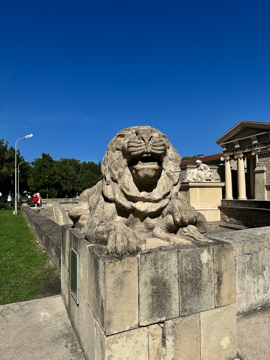 IMG_3467.jpeg