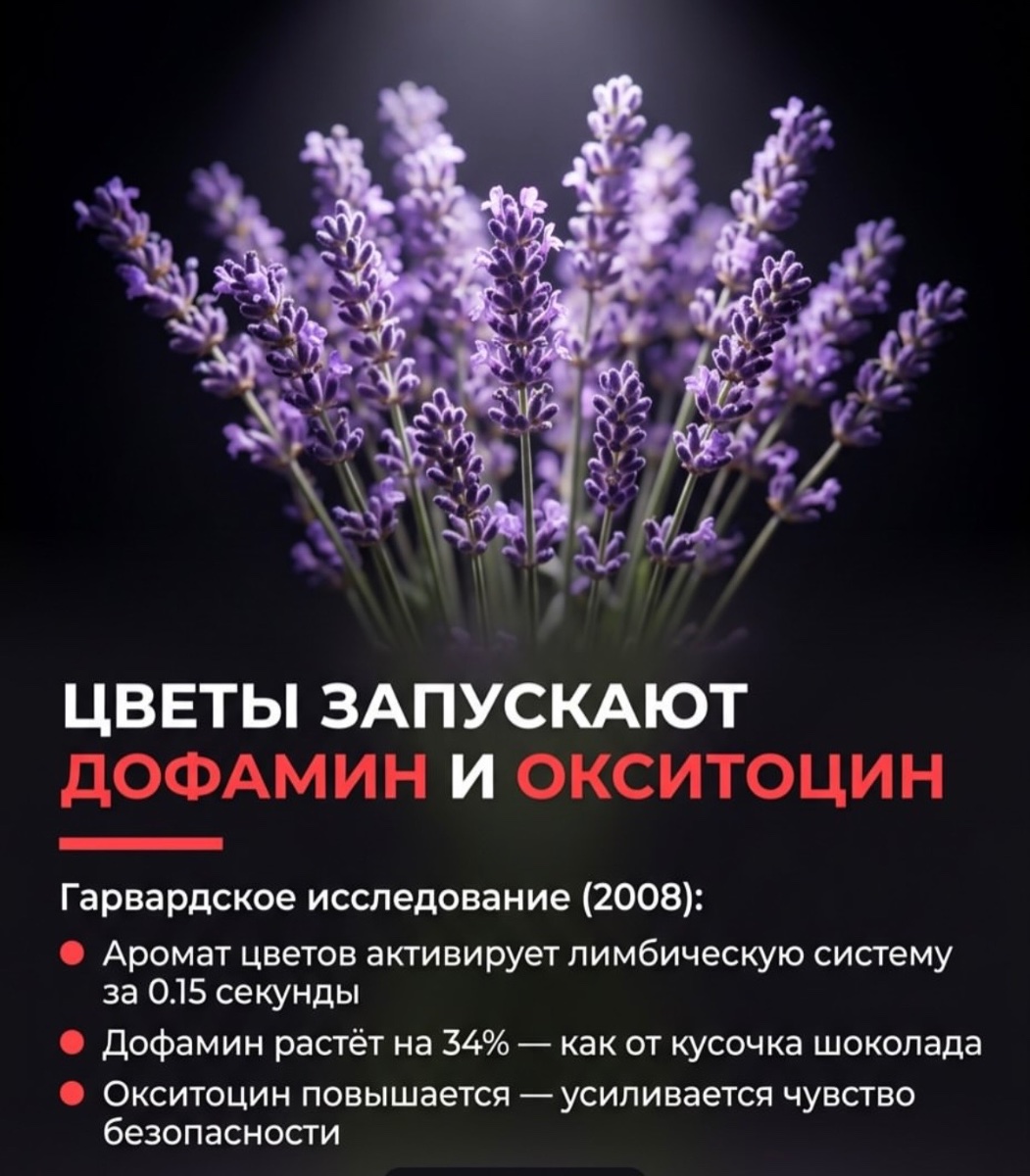IMG_3469.jpeg