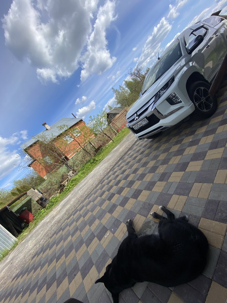 IMG_3527.jpeg
