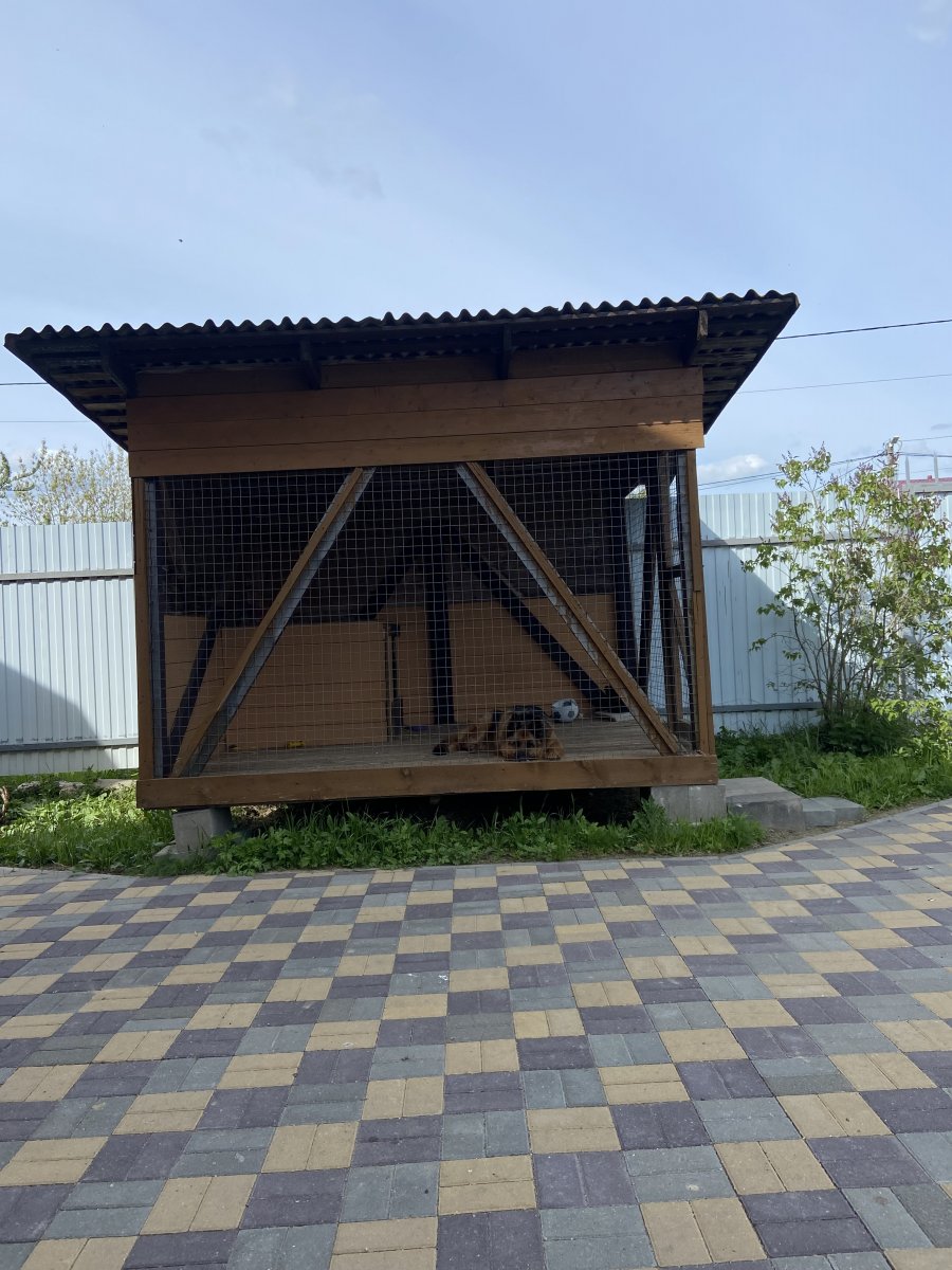 IMG_3528.jpeg