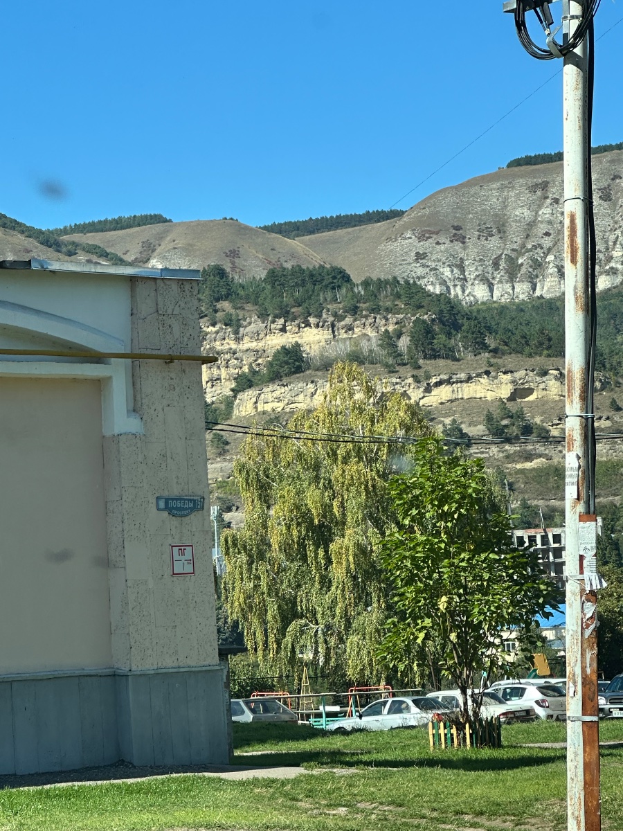 IMG_3565.jpeg