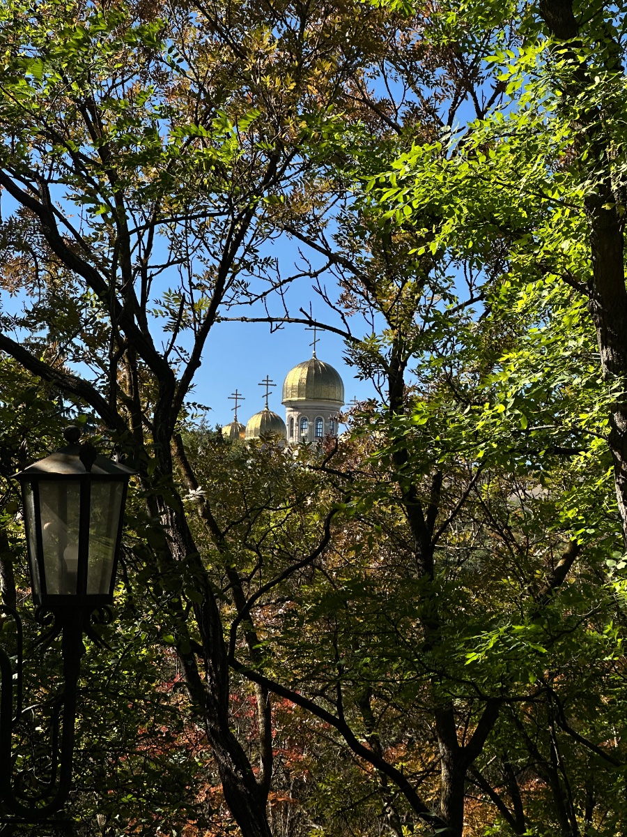 IMG_3582.jpeg