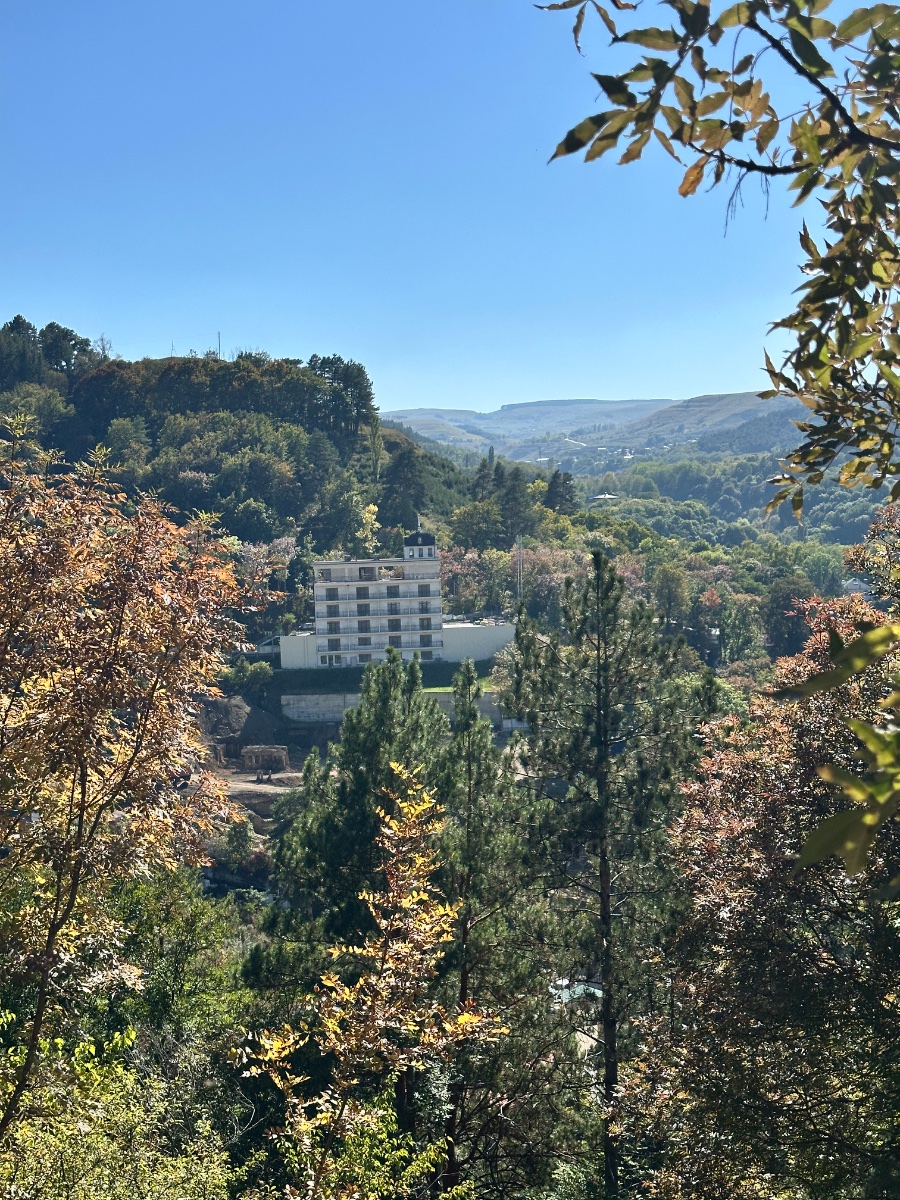 IMG_3585.jpeg