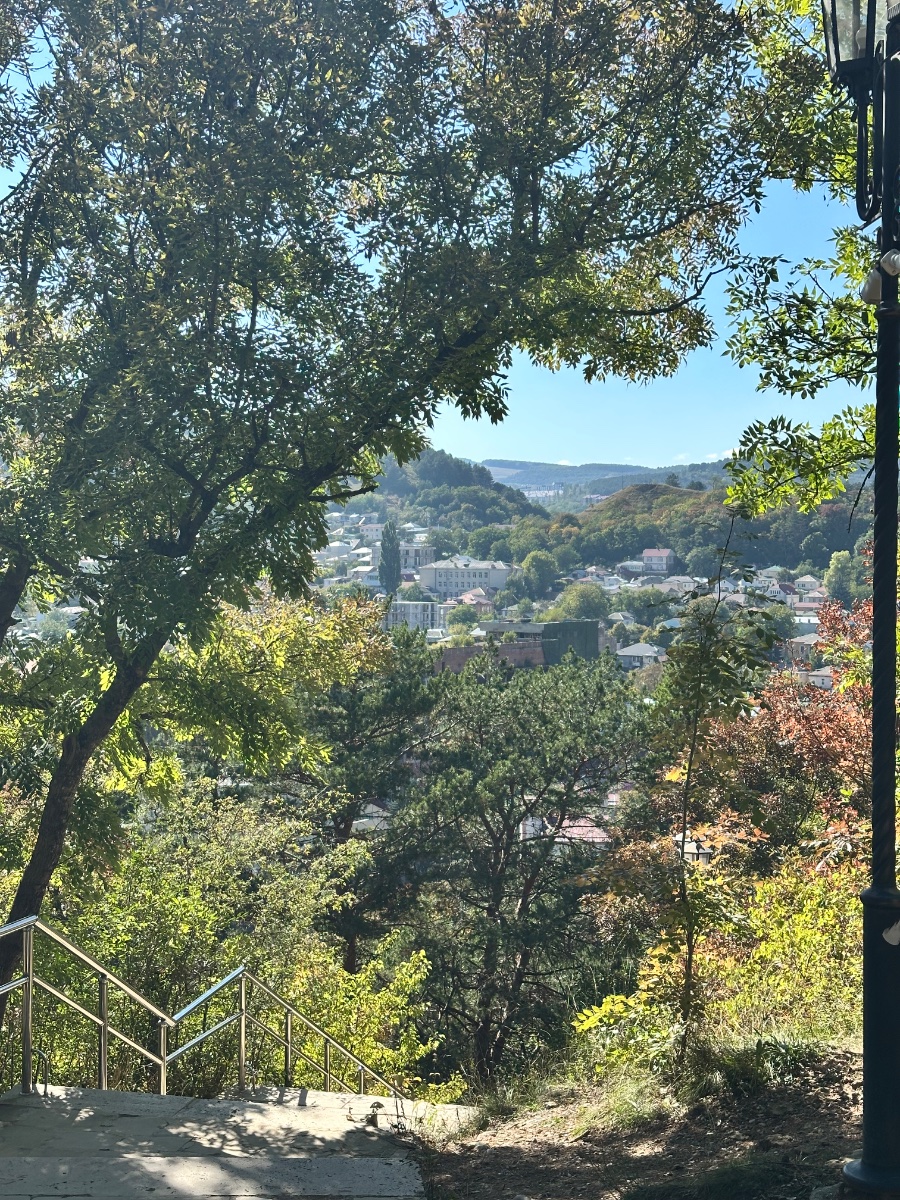 IMG_3586.jpeg