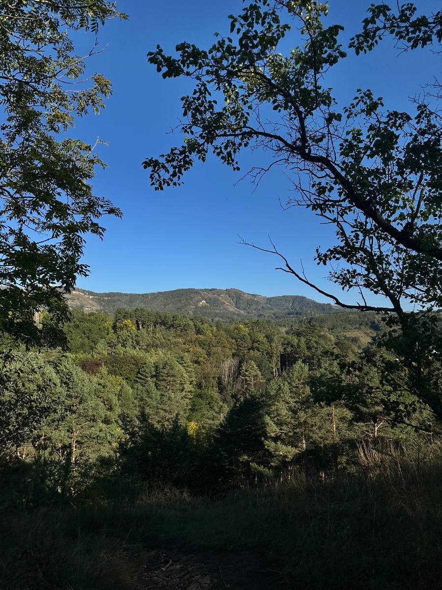 IMG_3622.jpeg