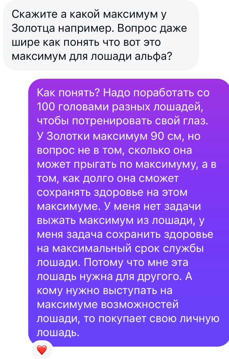 IMG_3706.jpeg
