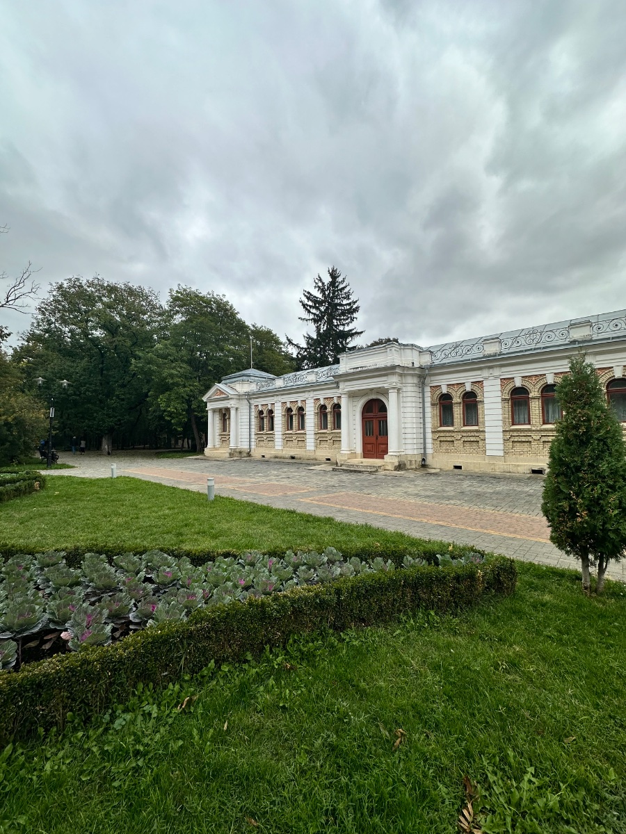 IMG_3810.jpeg
