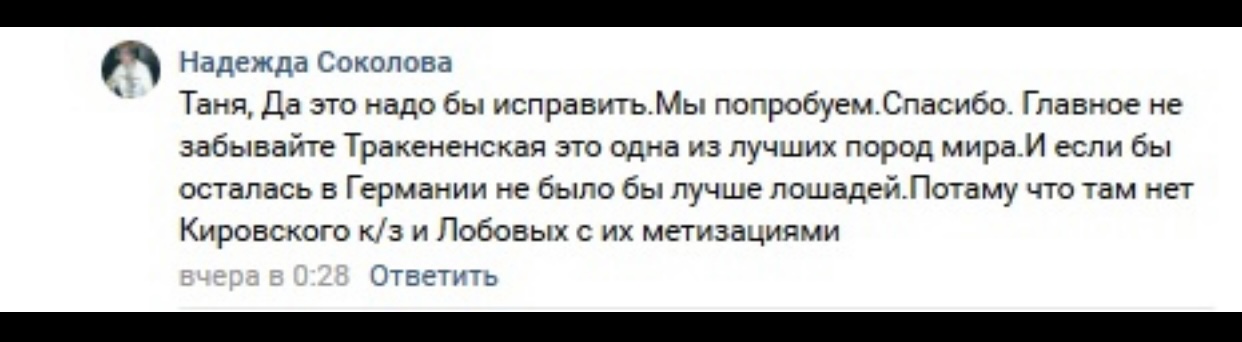 IMG_3966.jpeg