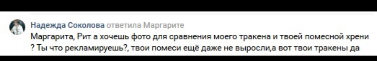 IMG_3967.jpeg