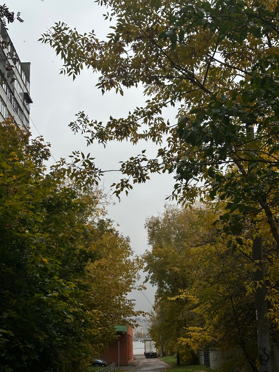IMG_4057.jpeg