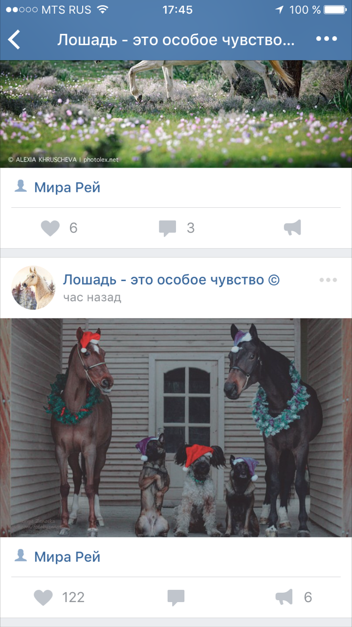 IMG_4057.PNG
