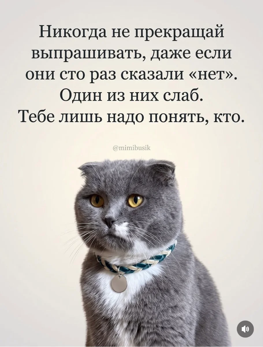 IMG_4197.webp