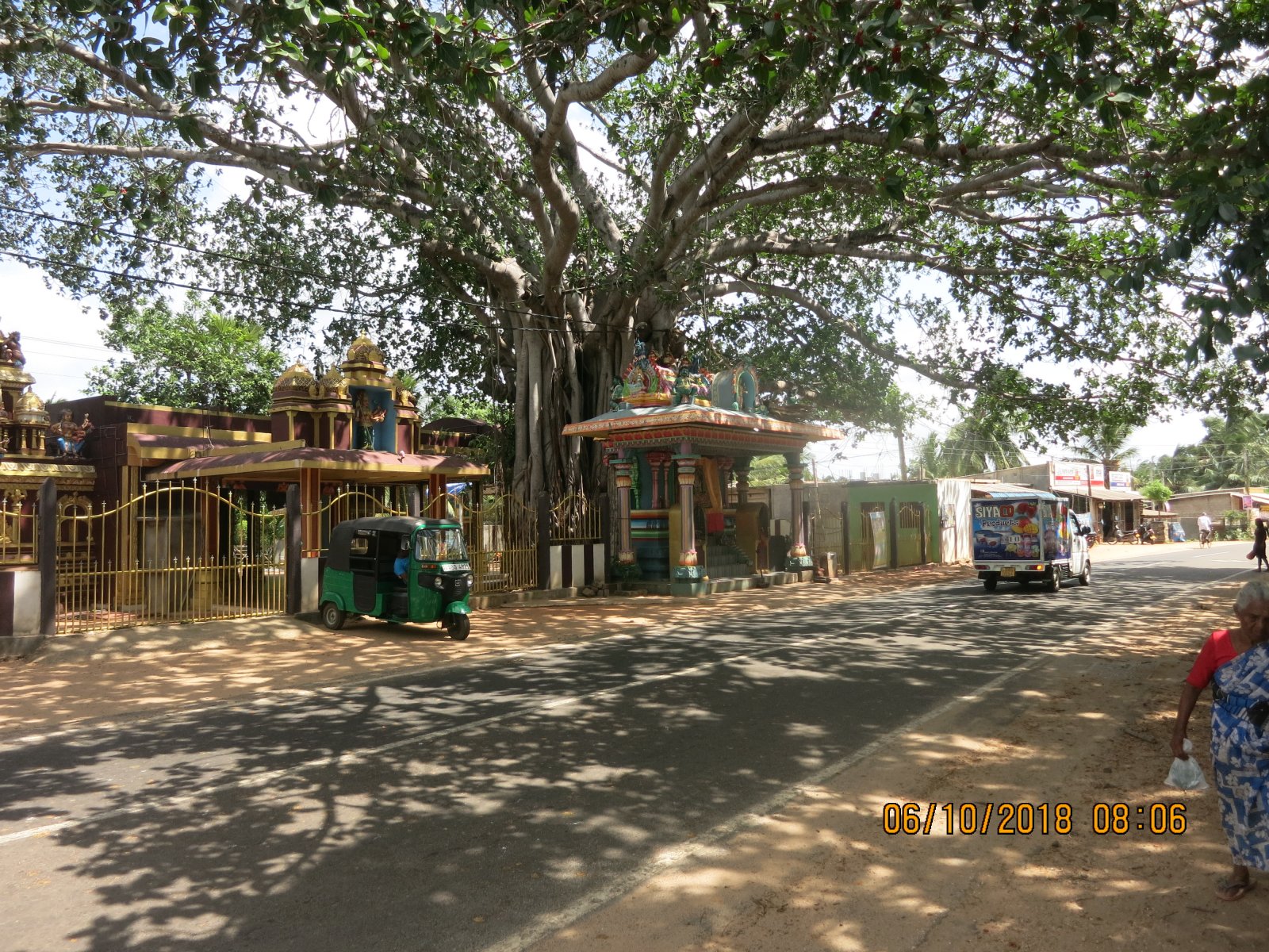 IMG_4366.JPG