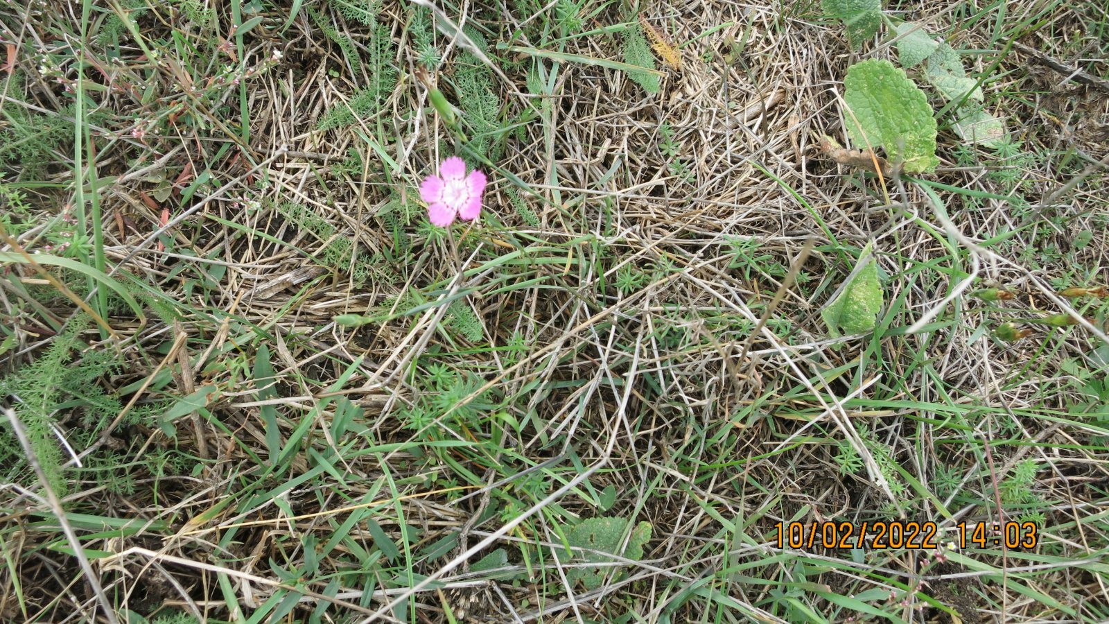 IMG_4505.JPG