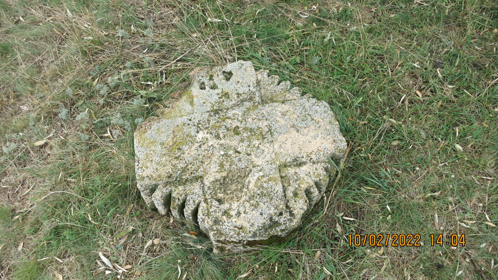 IMG_4506.JPG