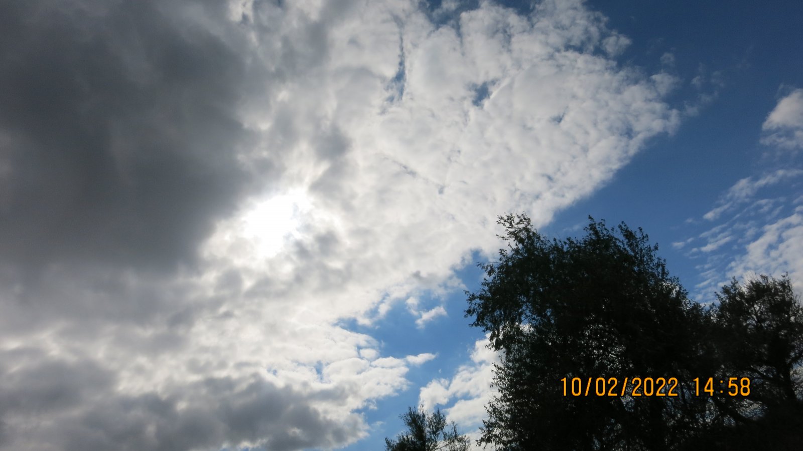 IMG_4512.JPG