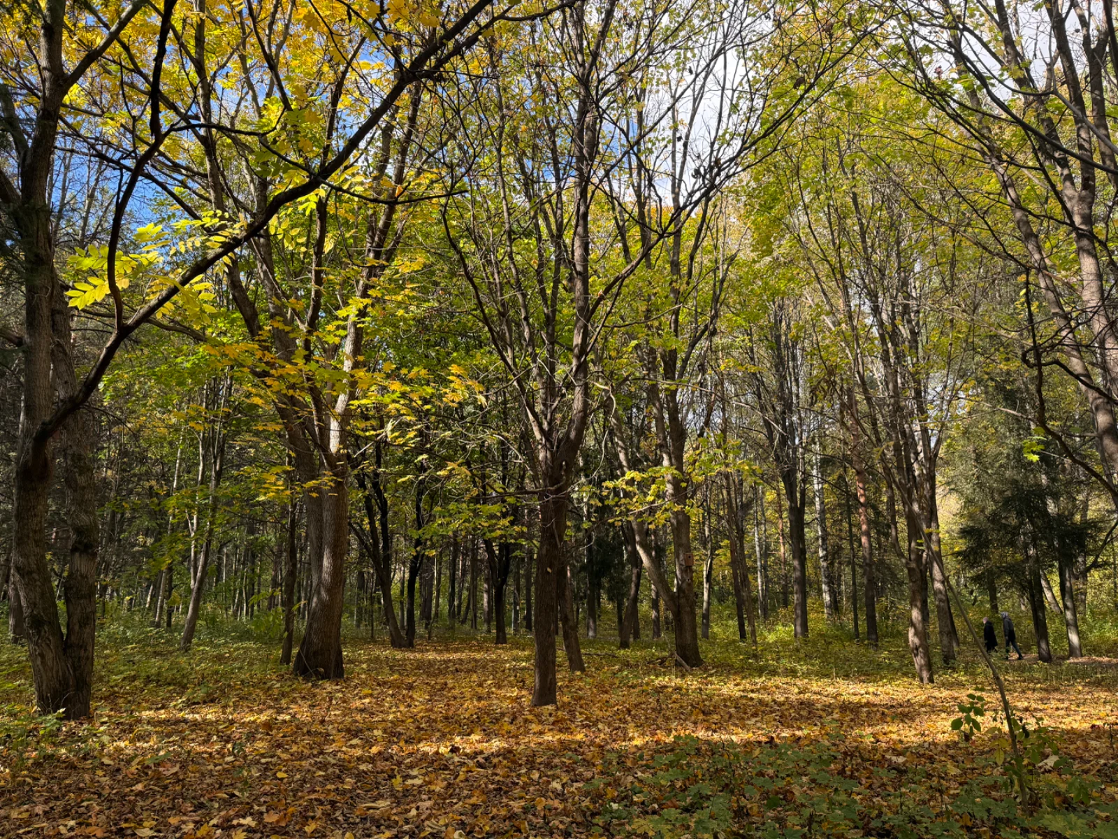IMG_4512.webp