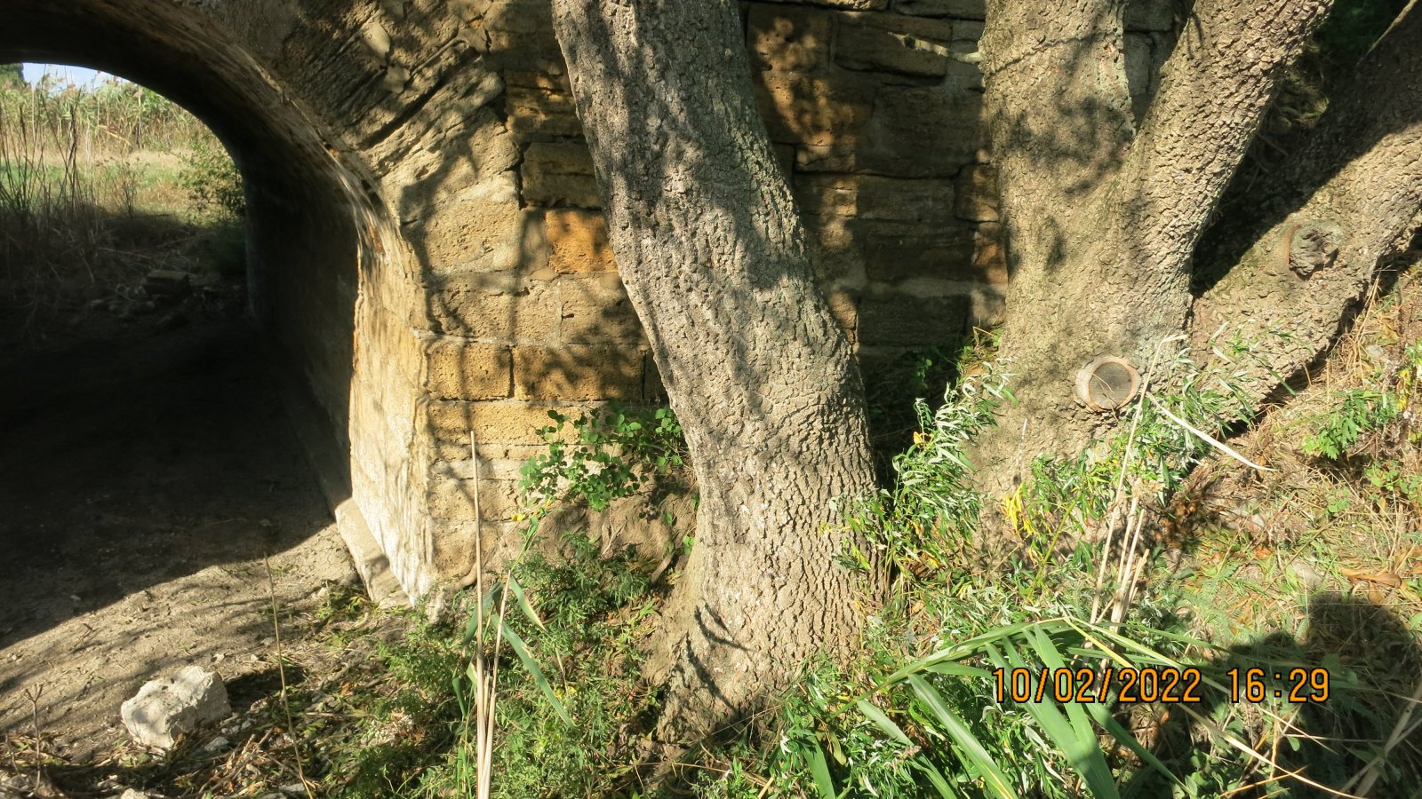IMG_4541.JPG