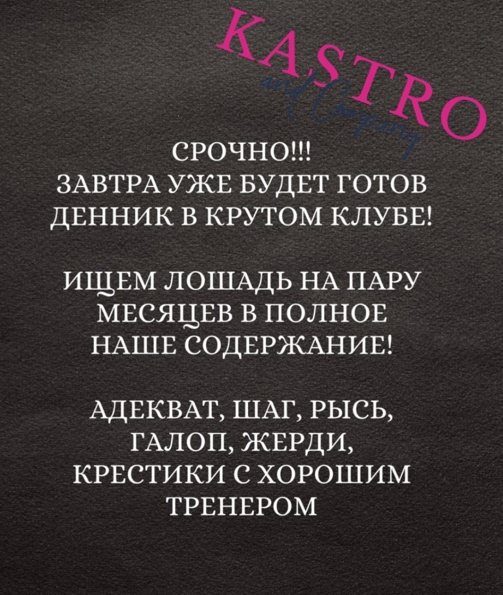 IMG_4565.jpeg