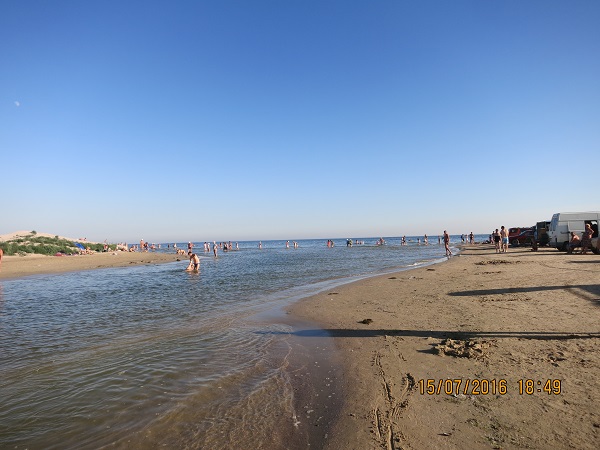 IMG_4631.JPG