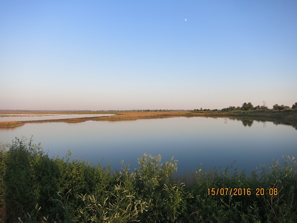 IMG_4648.JPG