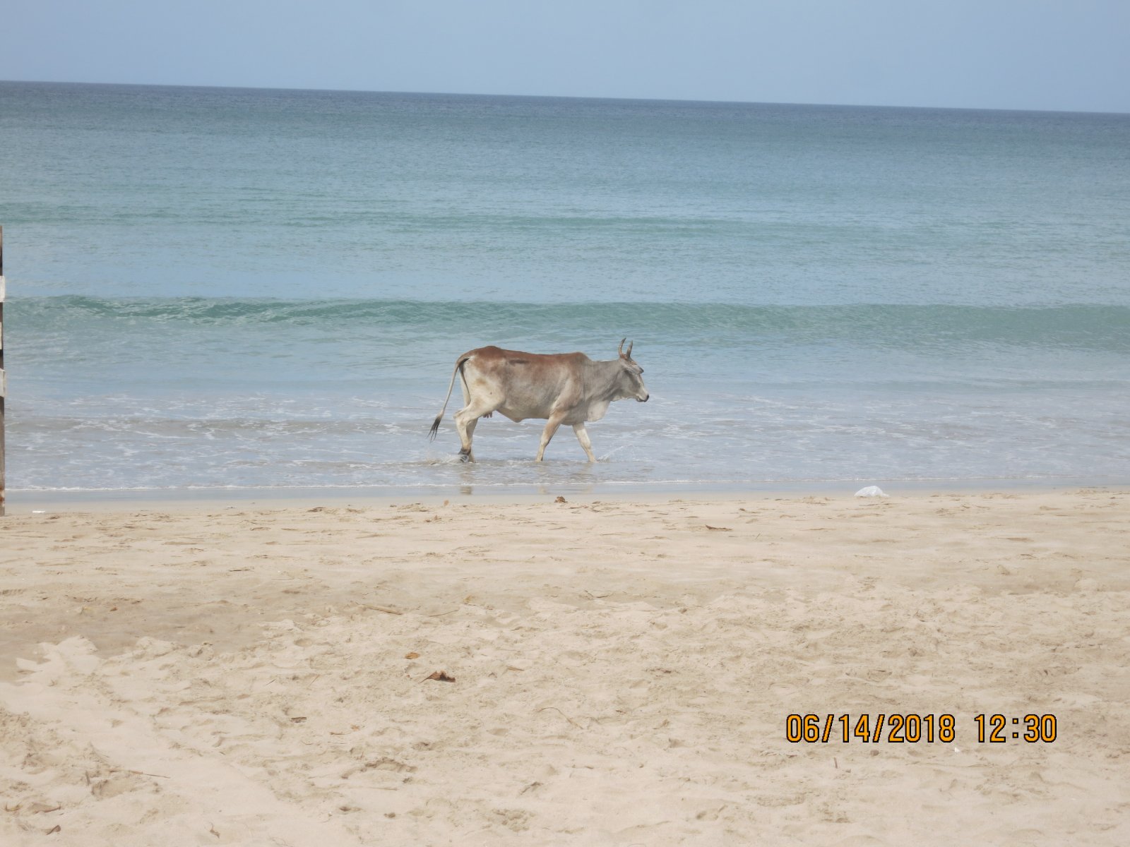 IMG_4655.JPG