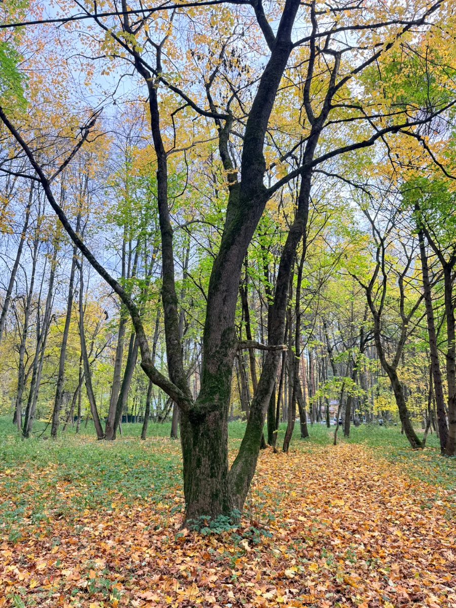 IMG_4750.webp