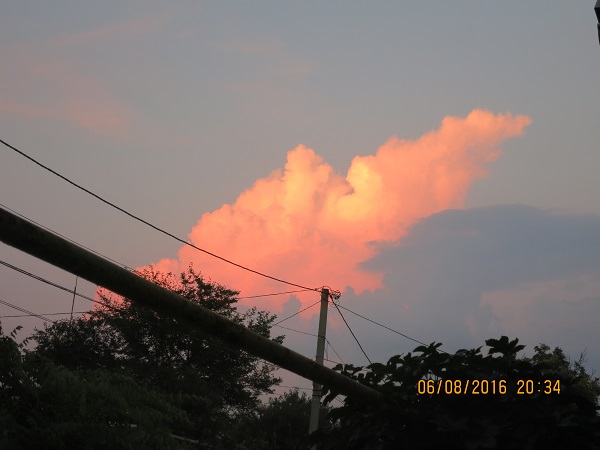 IMG_4796.JPG