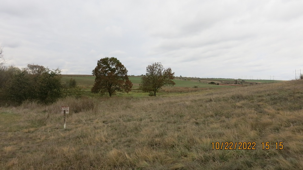 IMG_4796.JPG