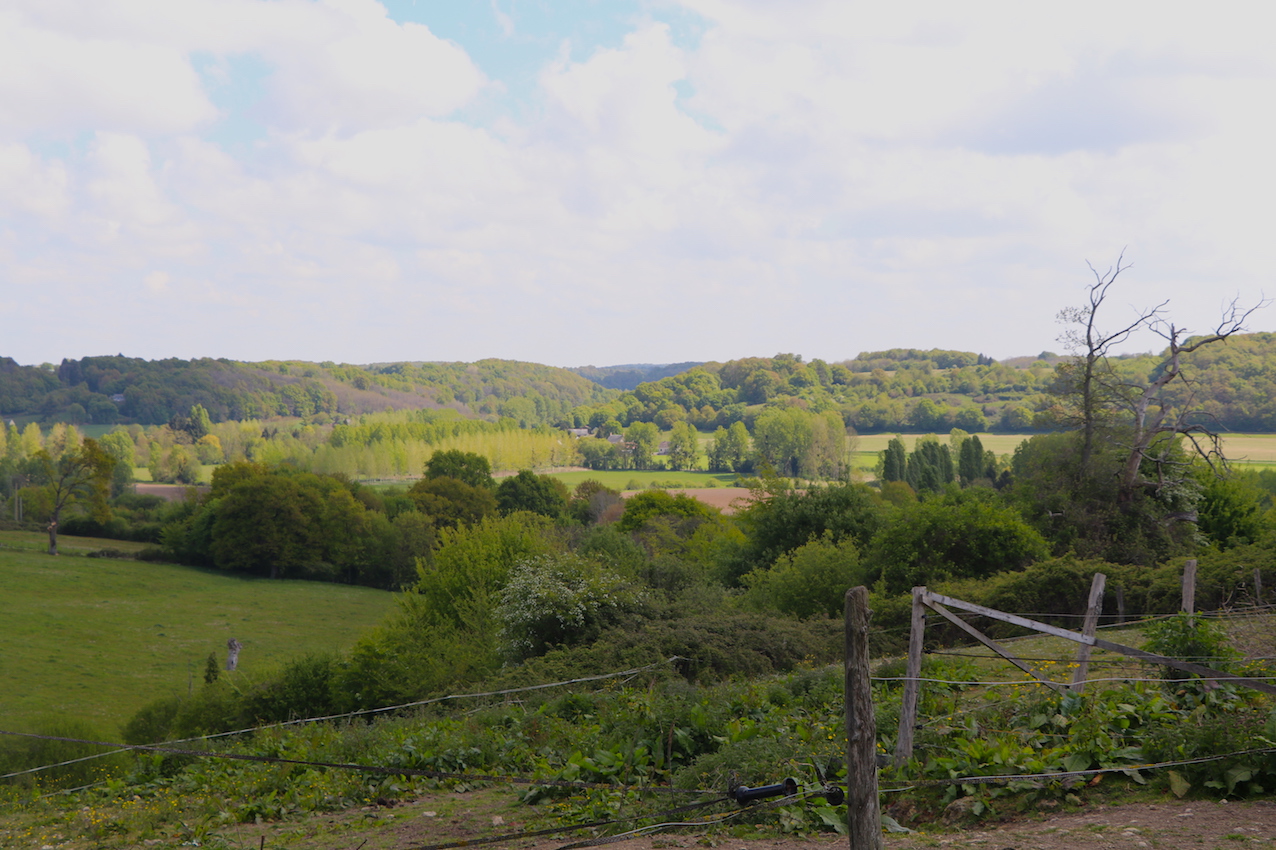 IMG_4822 - copie.jpg