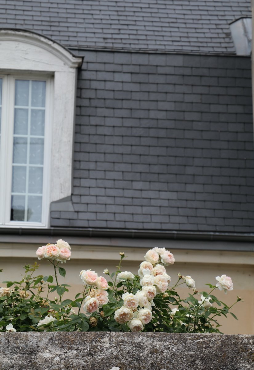 IMG_4884 — копия.JPG