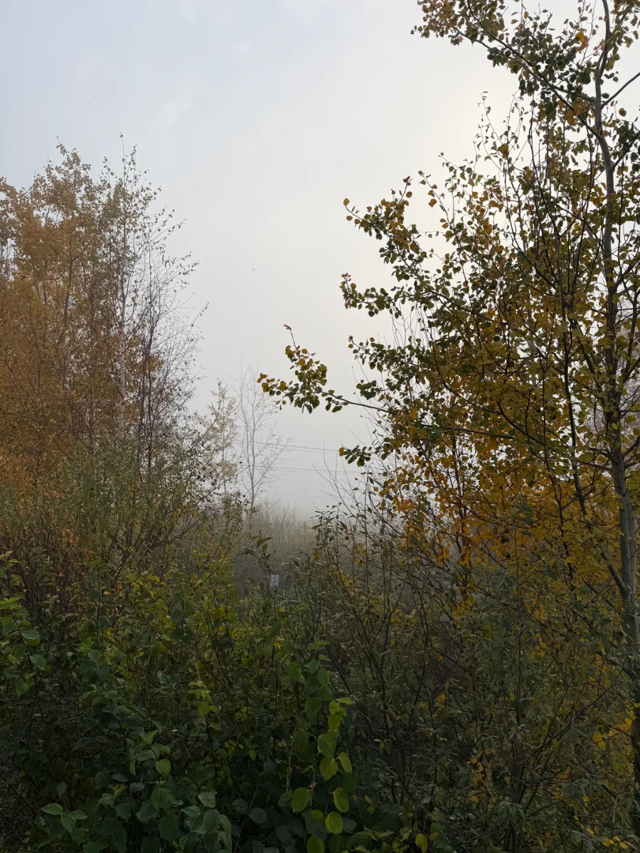 IMG_4904.webp