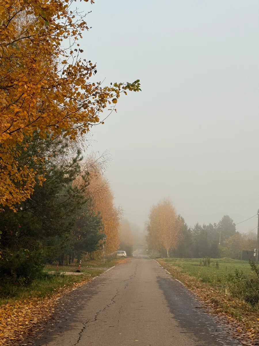 IMG_4911.webp