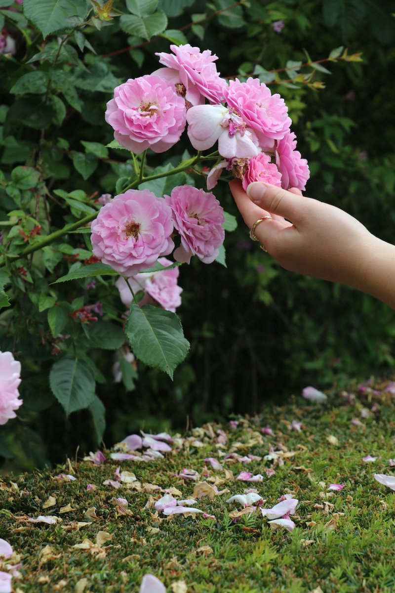 IMG_4922 — копия.JPG