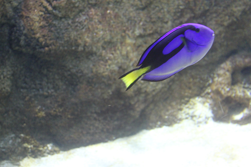 IMG_4945.jpg