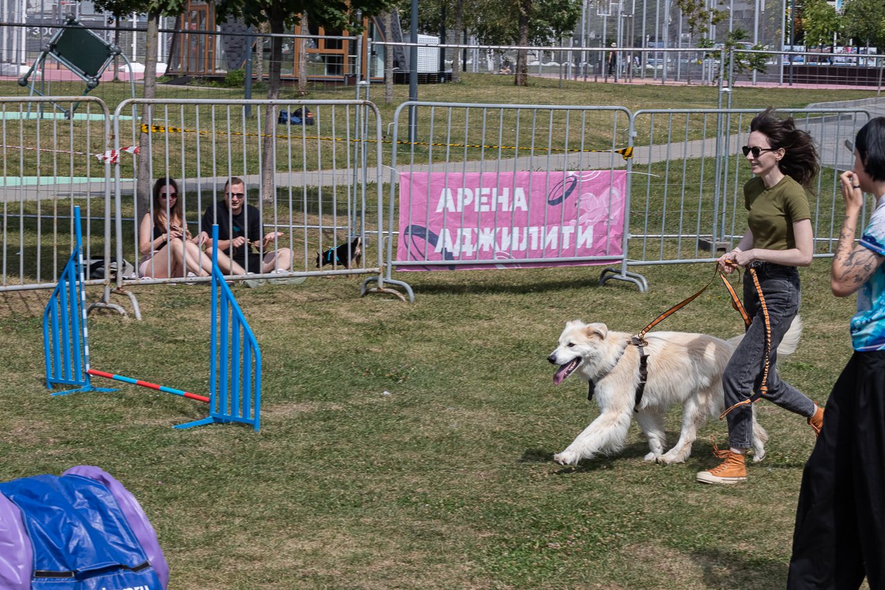 IMG_4974.jpg