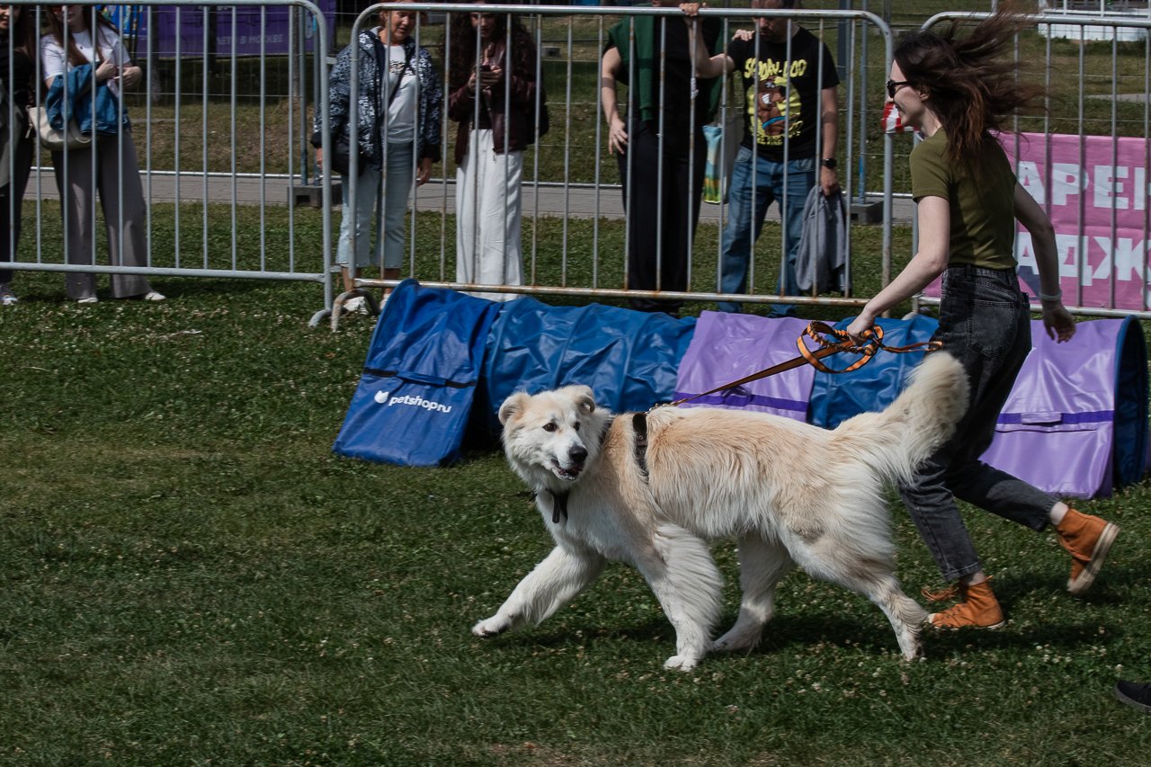 IMG_4977.jpg