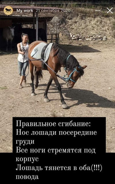 IMG_4980.jpeg