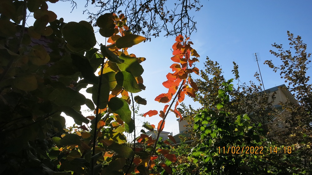 IMG_4997.JPG