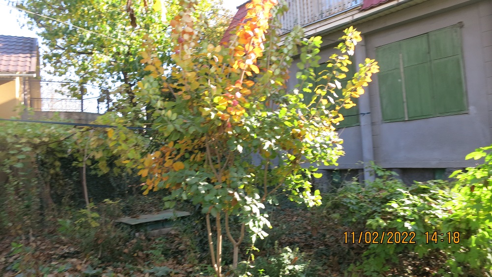 IMG_4998.JPG