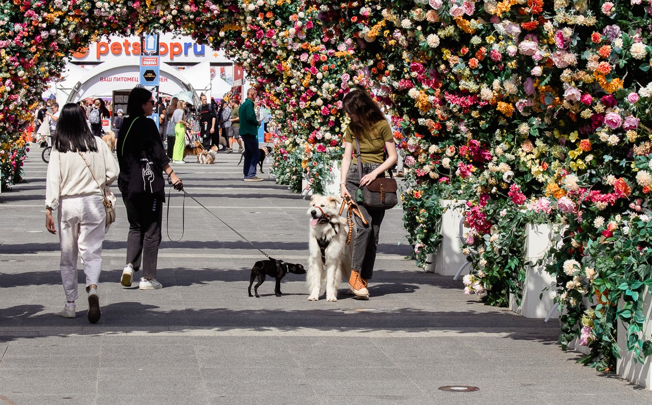 IMG_5008.jpg