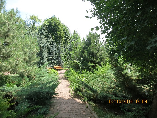 IMG_5011.JPG