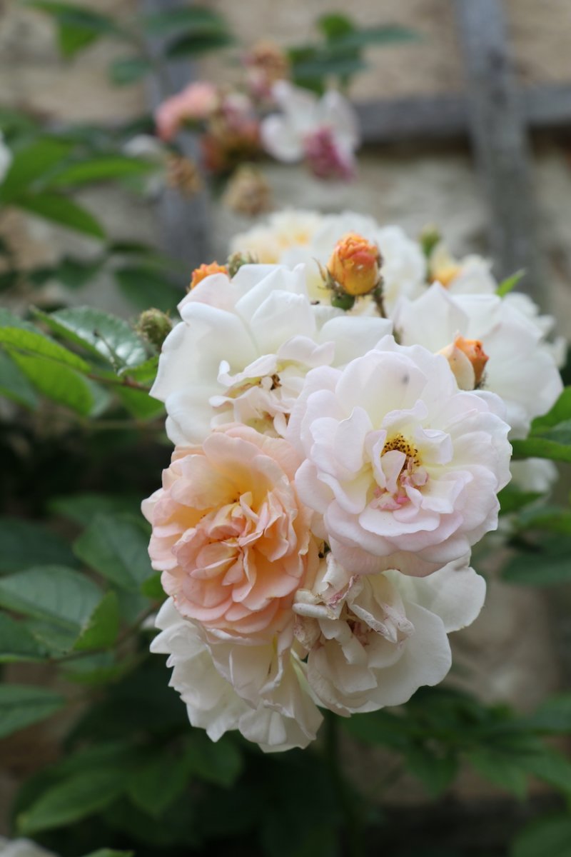 IMG_5061 — копия.JPG