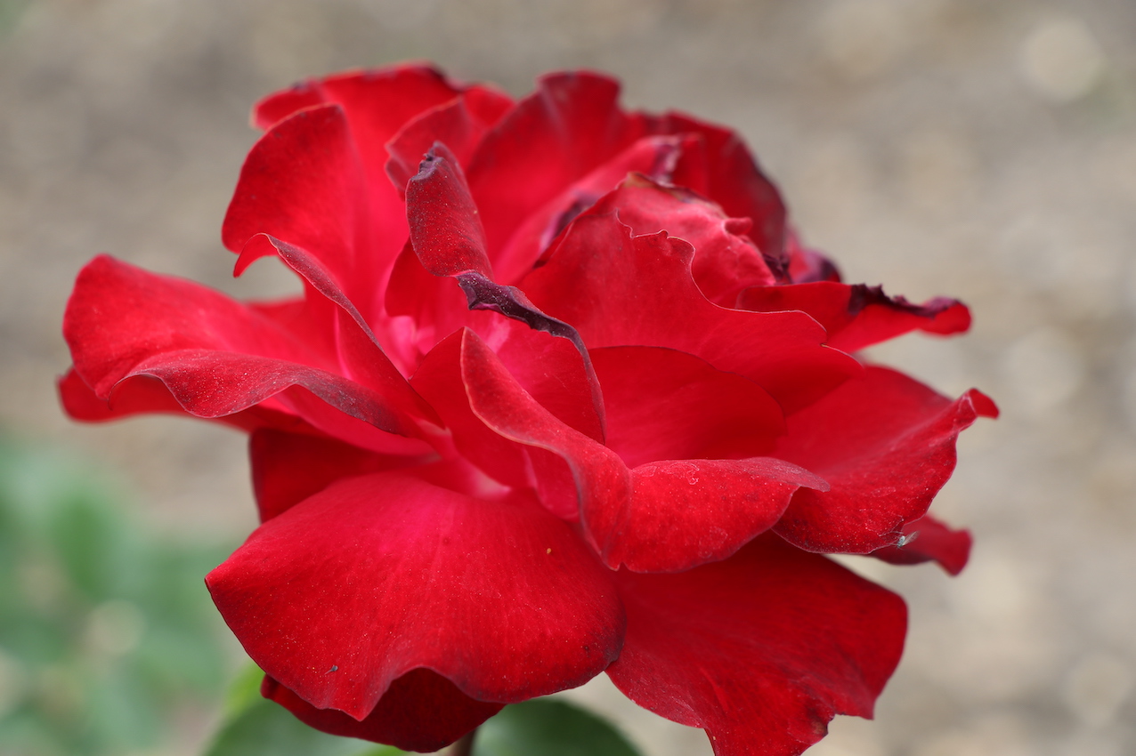 IMG_5084 — копия.JPG