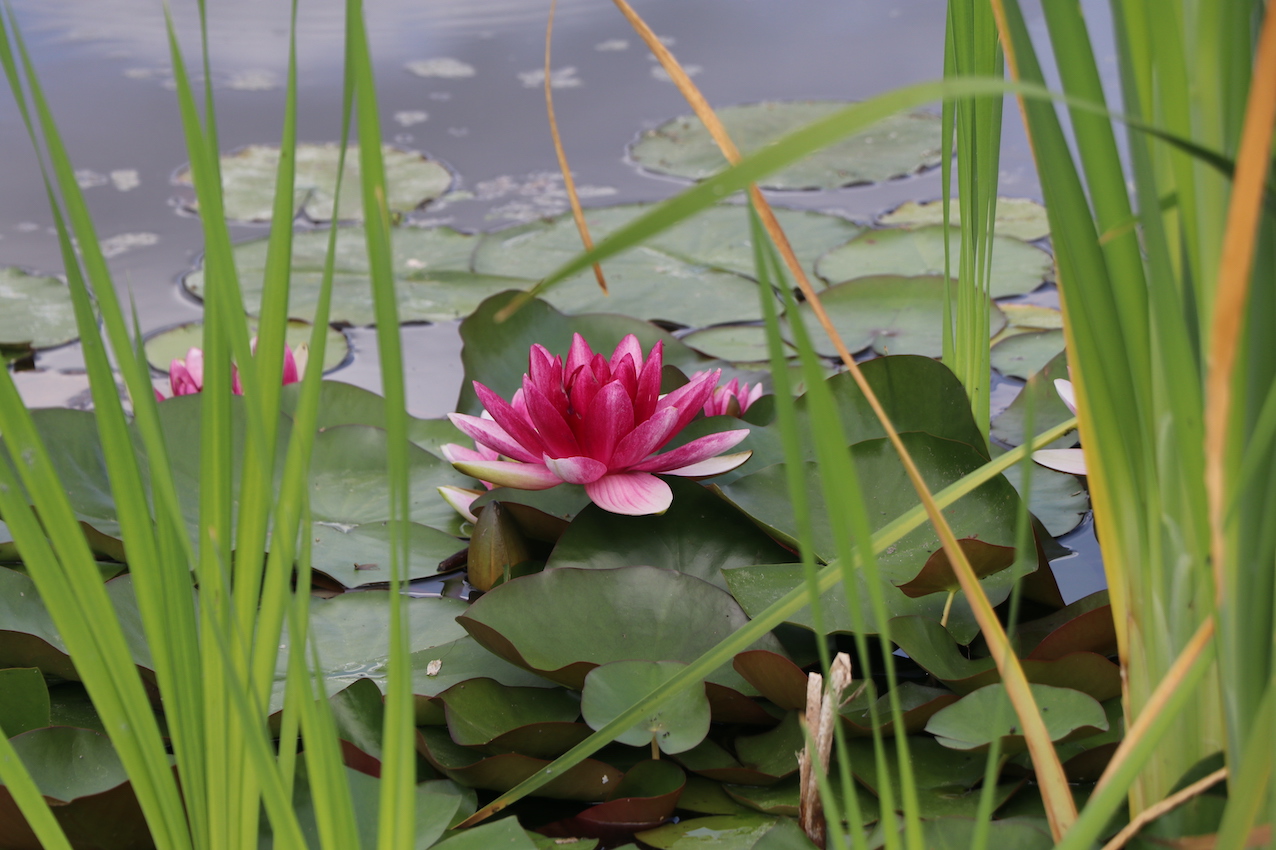 IMG_5131 — копия.JPG