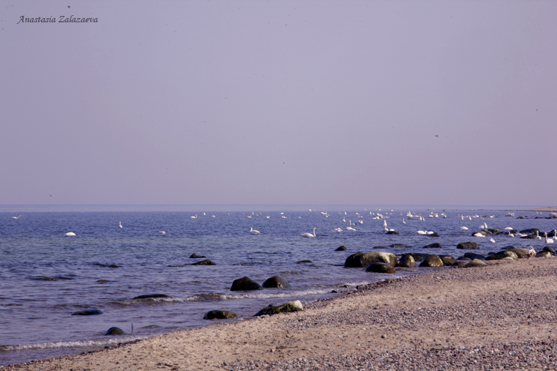 IMG_5369-1.jpg